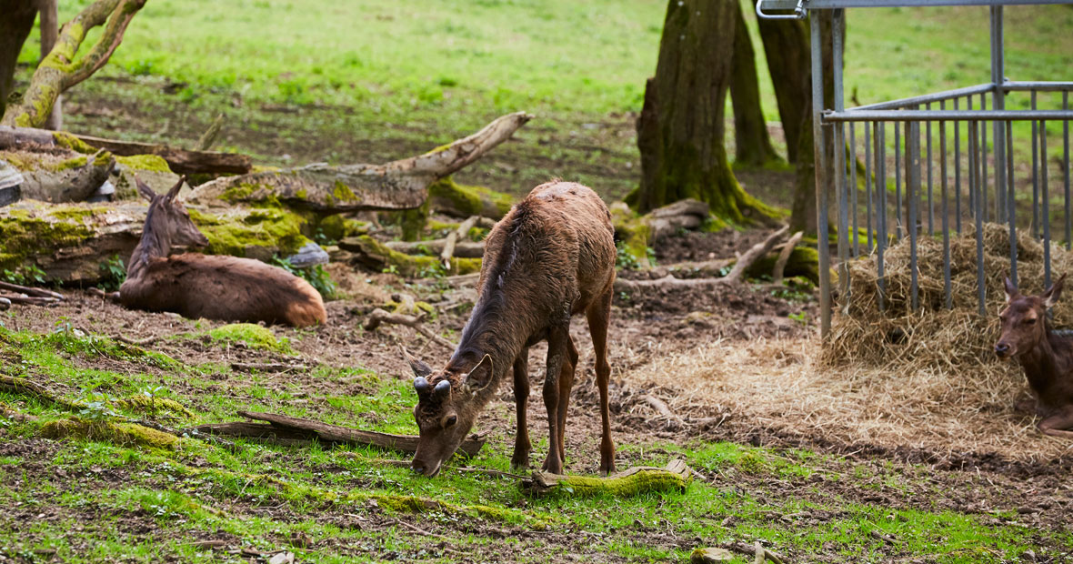 parc villefranche-sur-saône